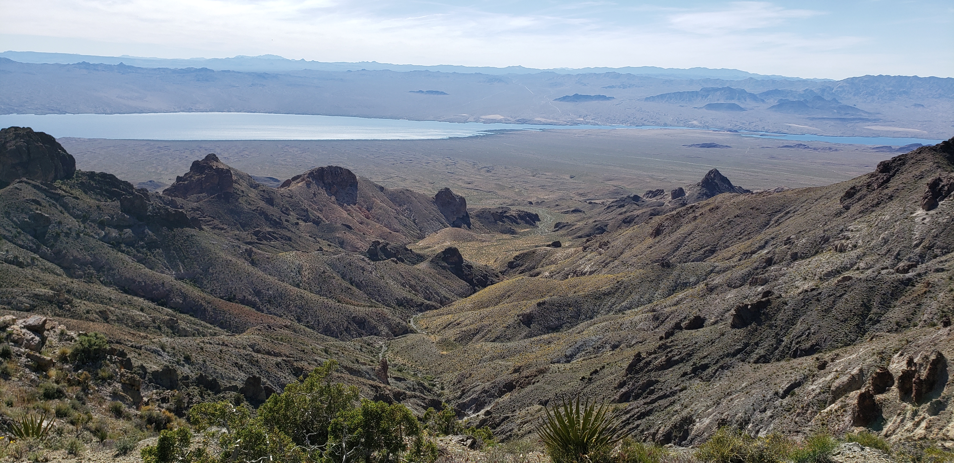 mohave desert